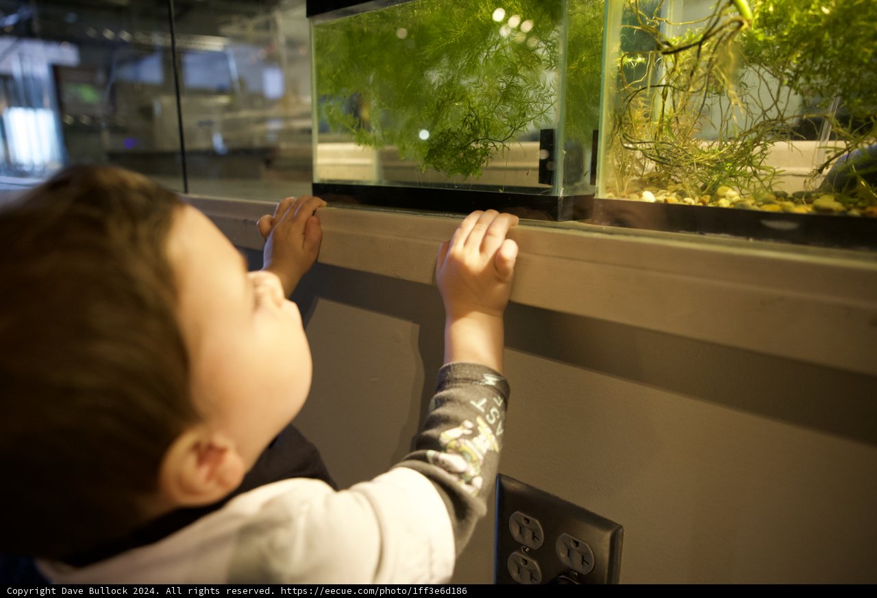 A Touch of Ocean Curiosity