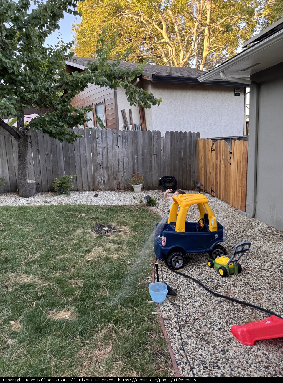 **Backyard Summer Adventures**