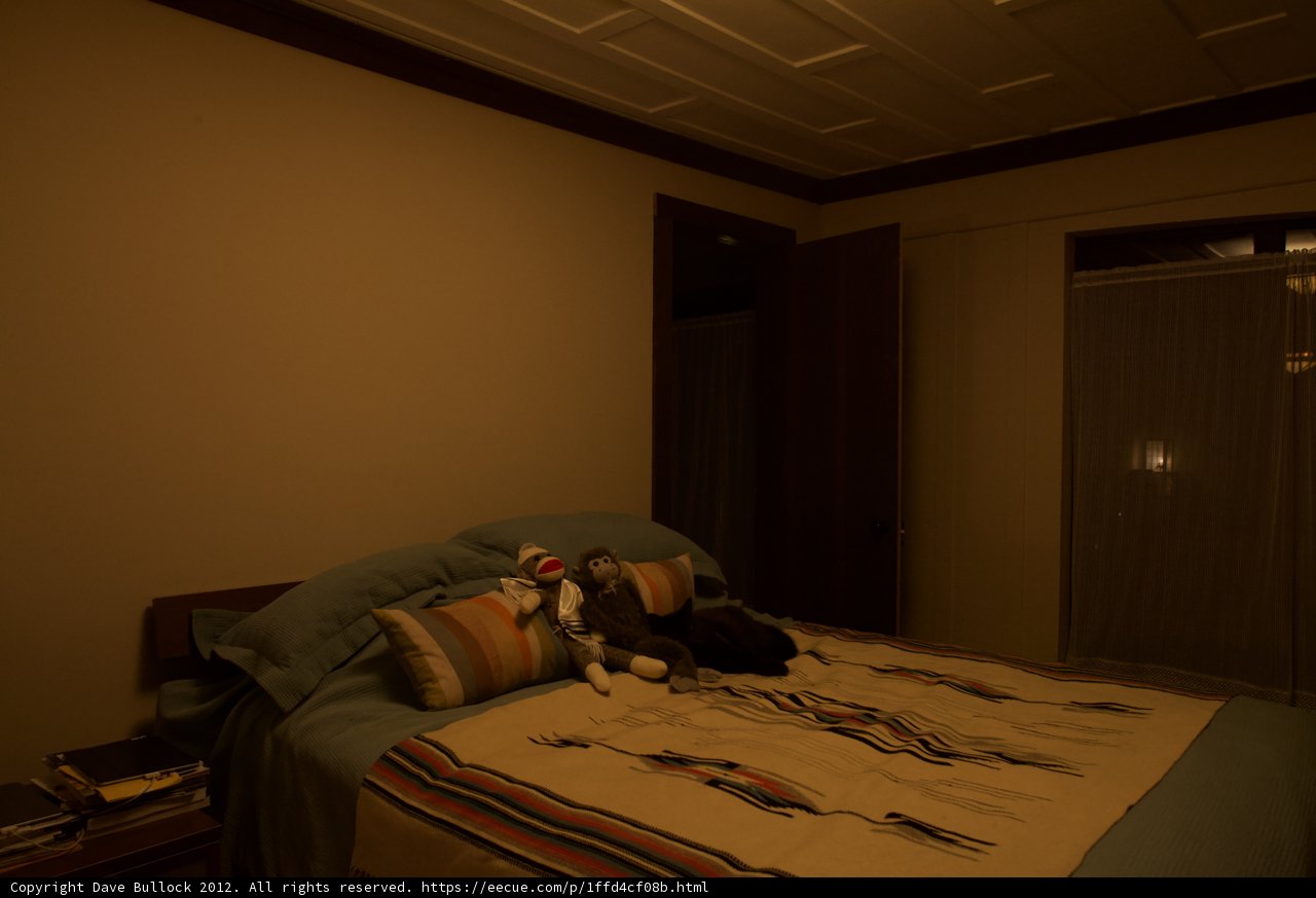Cozy Bedtime Companion