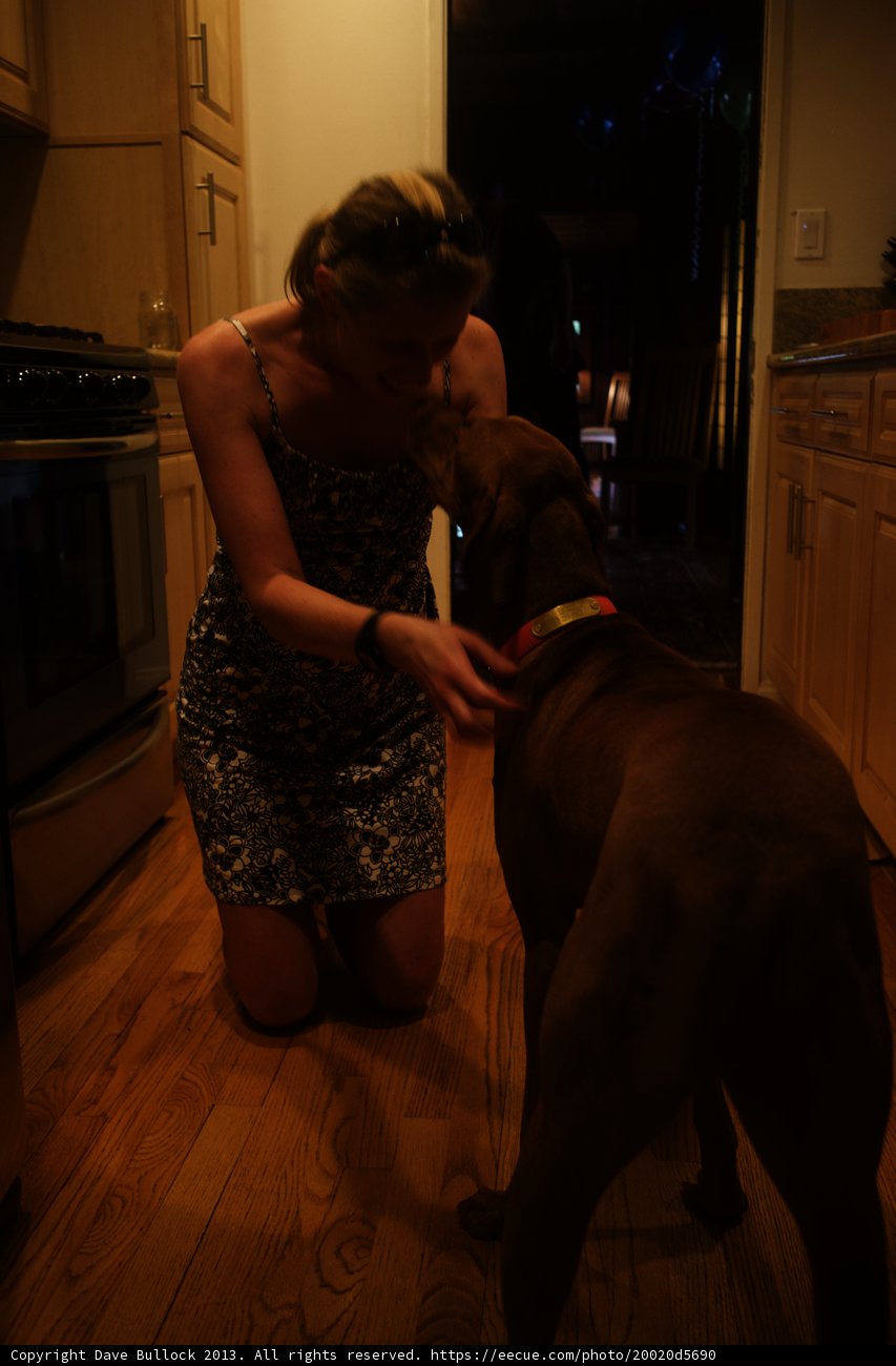 Woman and Dog on Hardwood Flooring