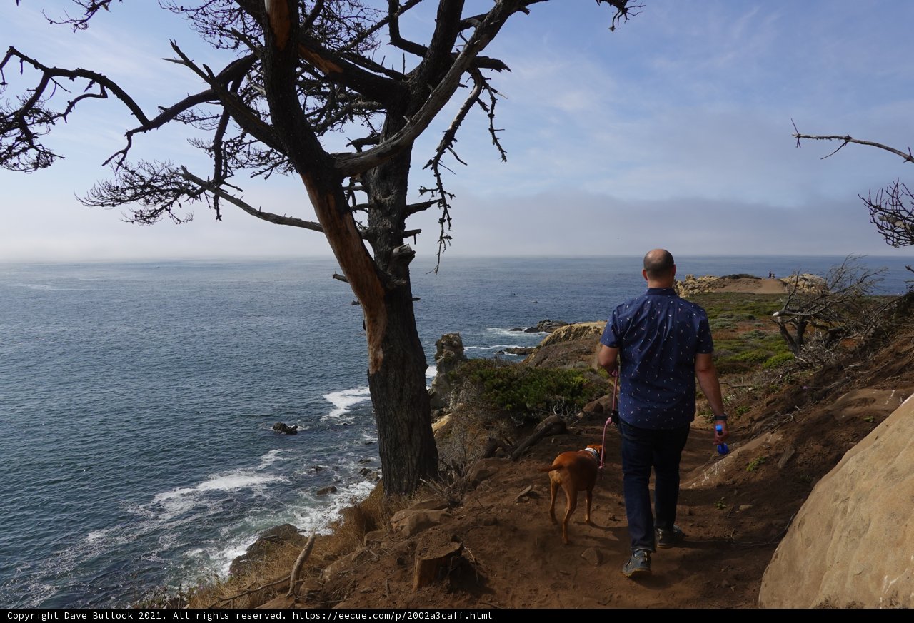 A Man and His Canine Companion at the Ocean Trail