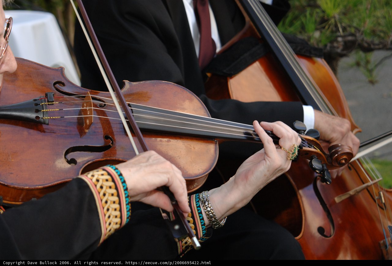 Melodious Strings