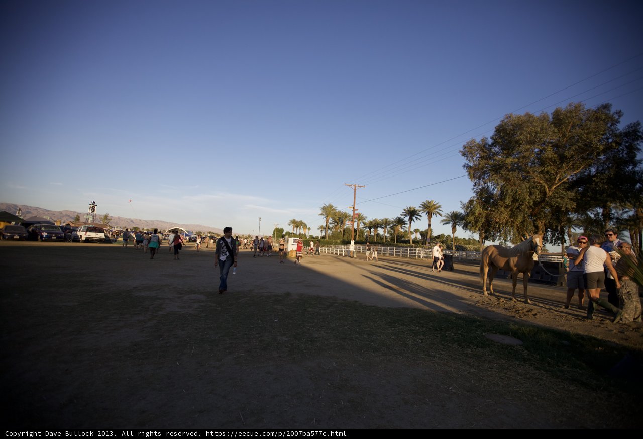 People and Horses in Coachella Field