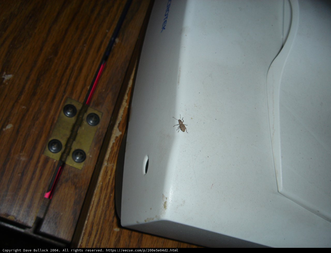 Critters on the Clicker