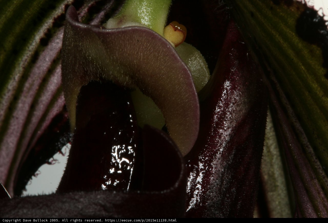 A Closer Look at Nature's Beauty