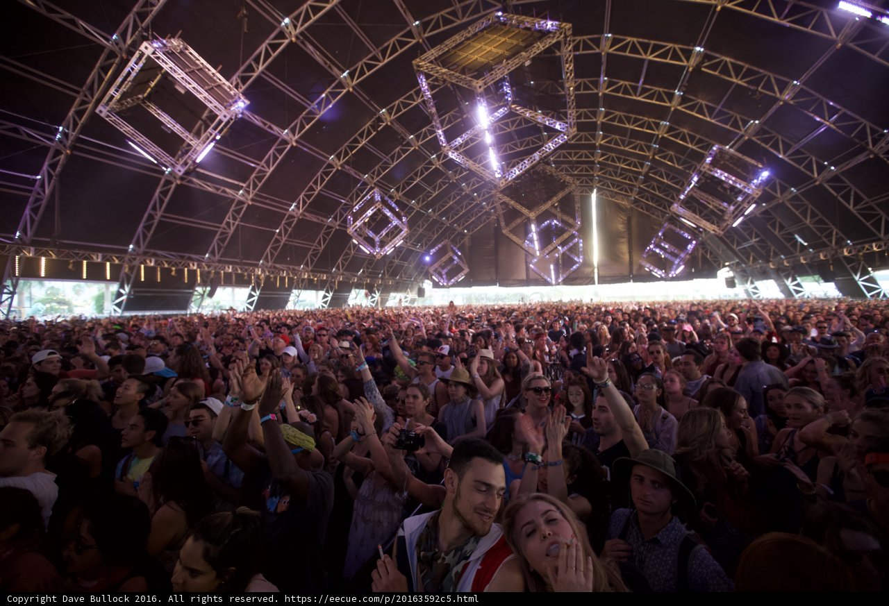 Raving with the Stars