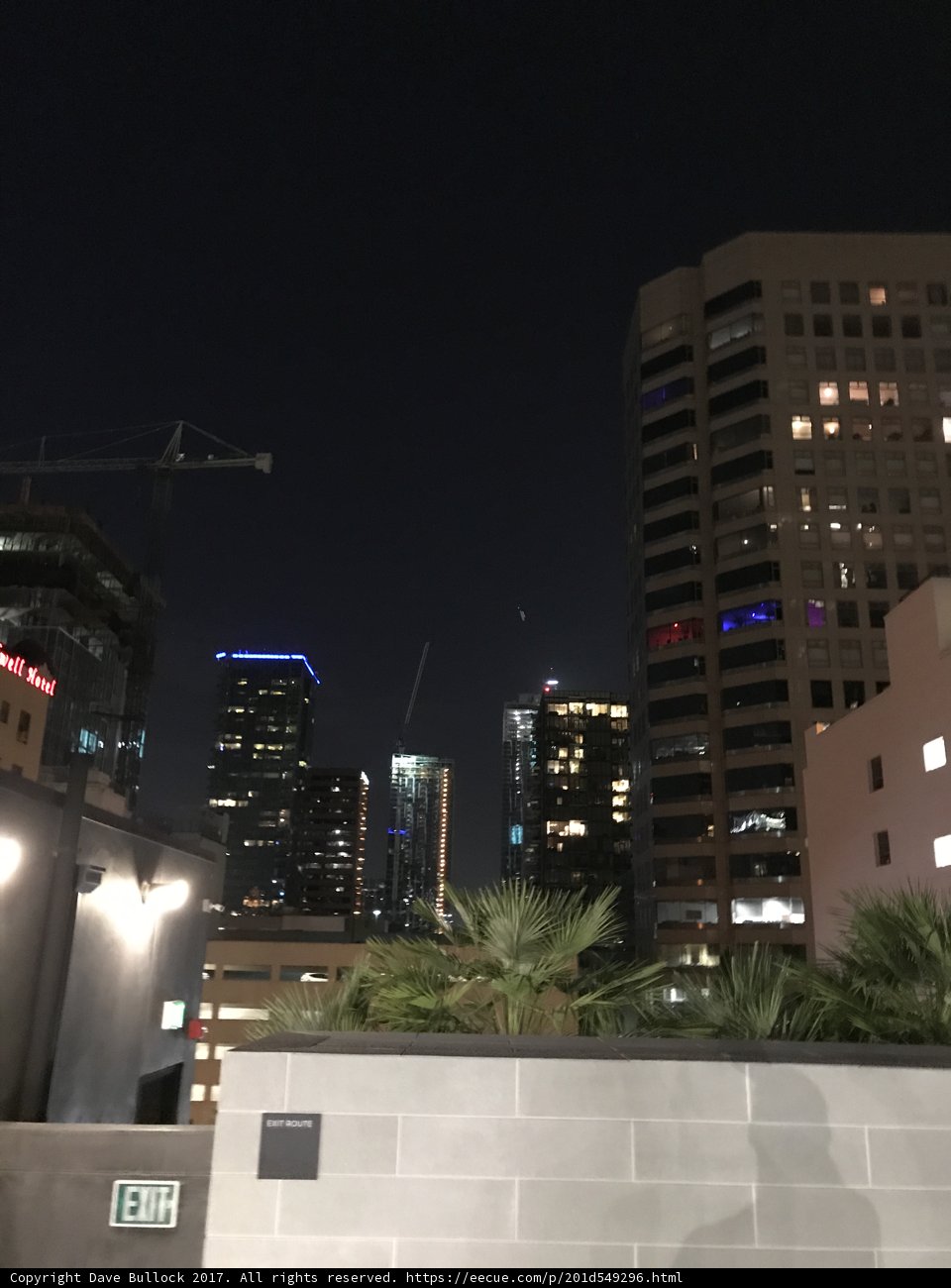 Metropolis Nights