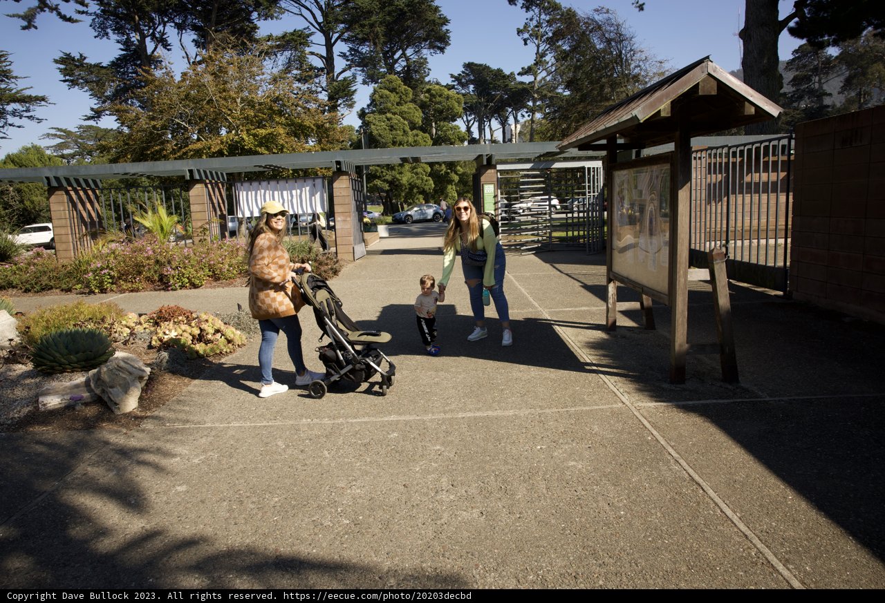 Strolling Through San Fran's Botanical Garden