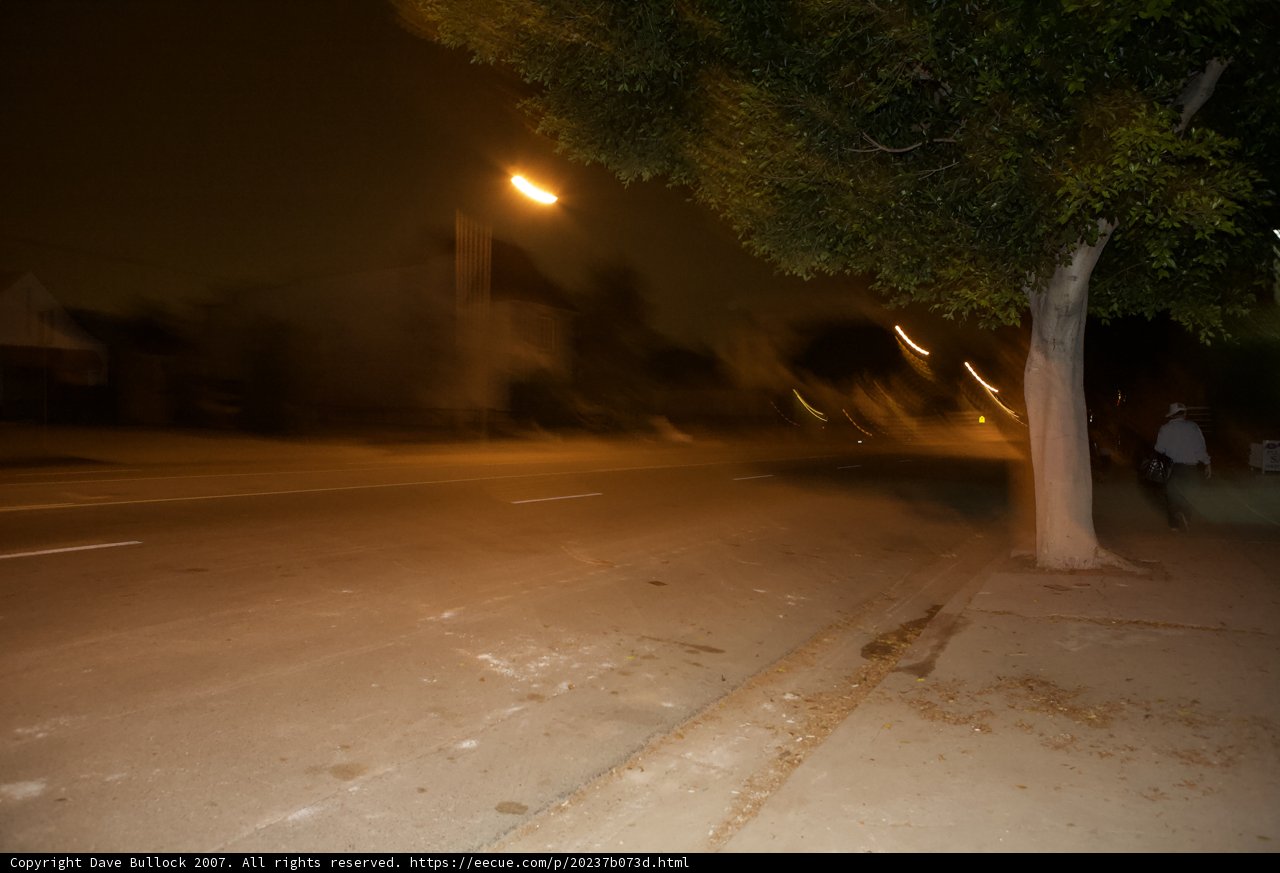 Blurred Streetscape with Tree at Night