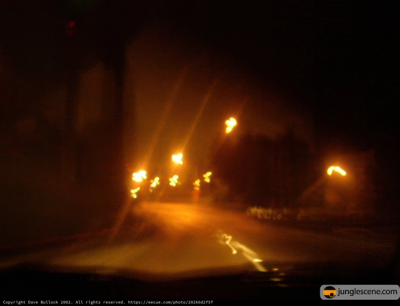 Illuminated Road