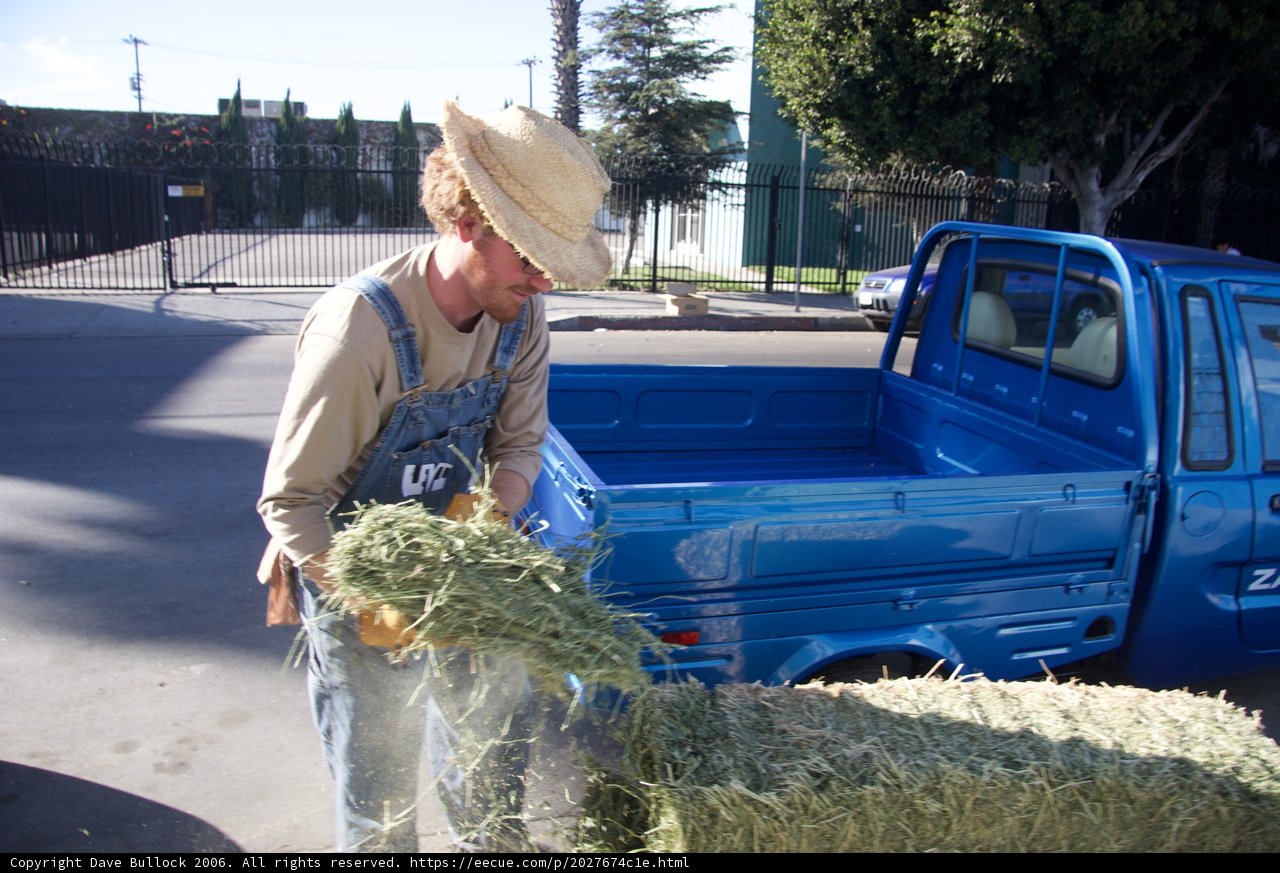 Loading Up the Truck