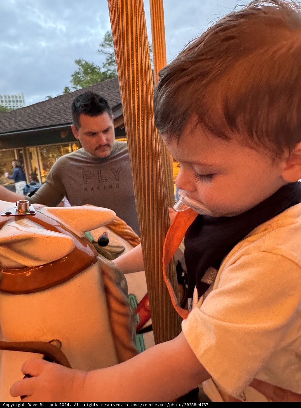 Carousel Dreams