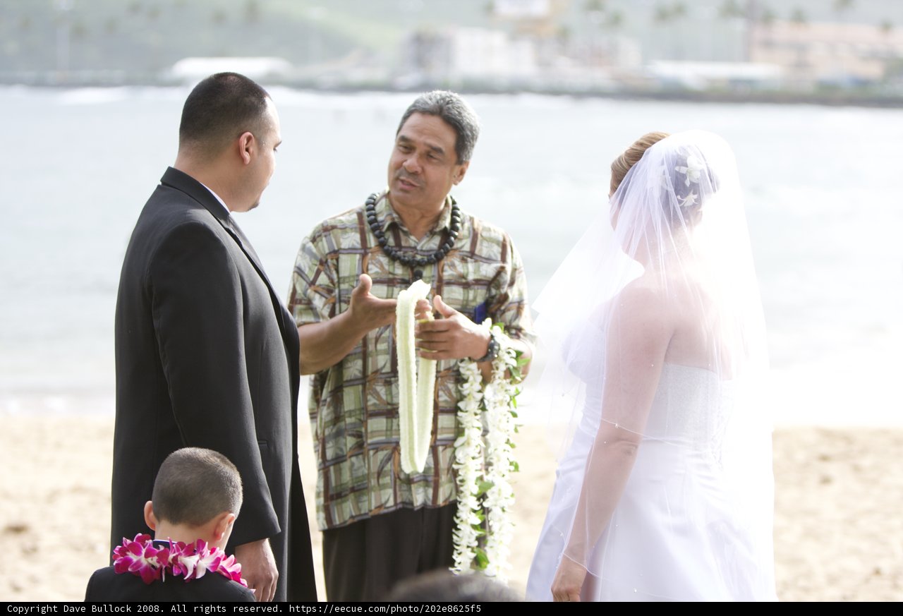 Beach Wedding Bliss