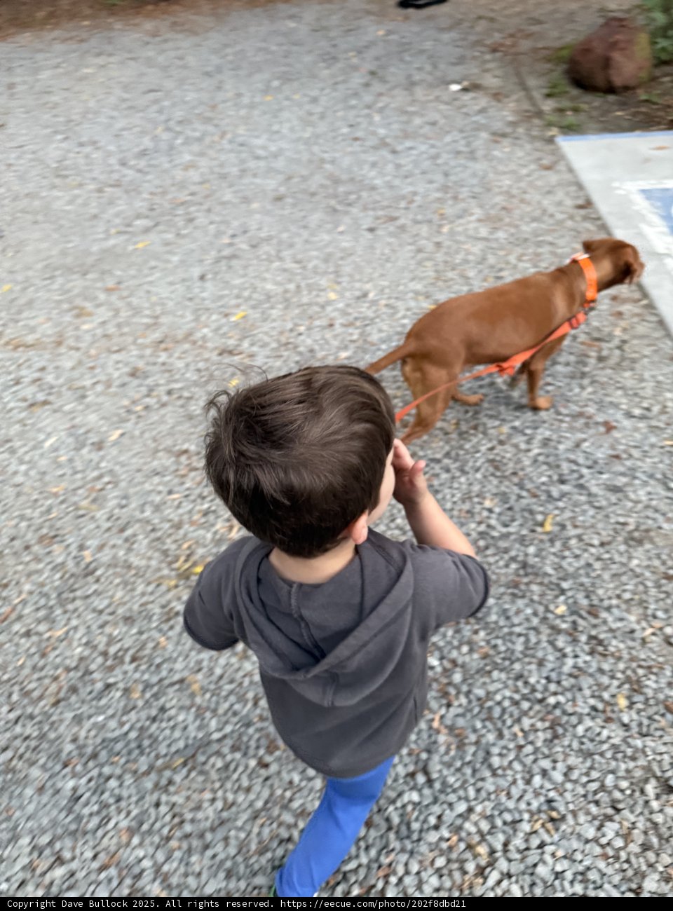 Stroll with a Buddy