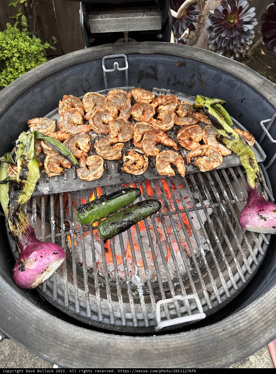 Sizzling BBQ Feast | May 2023
