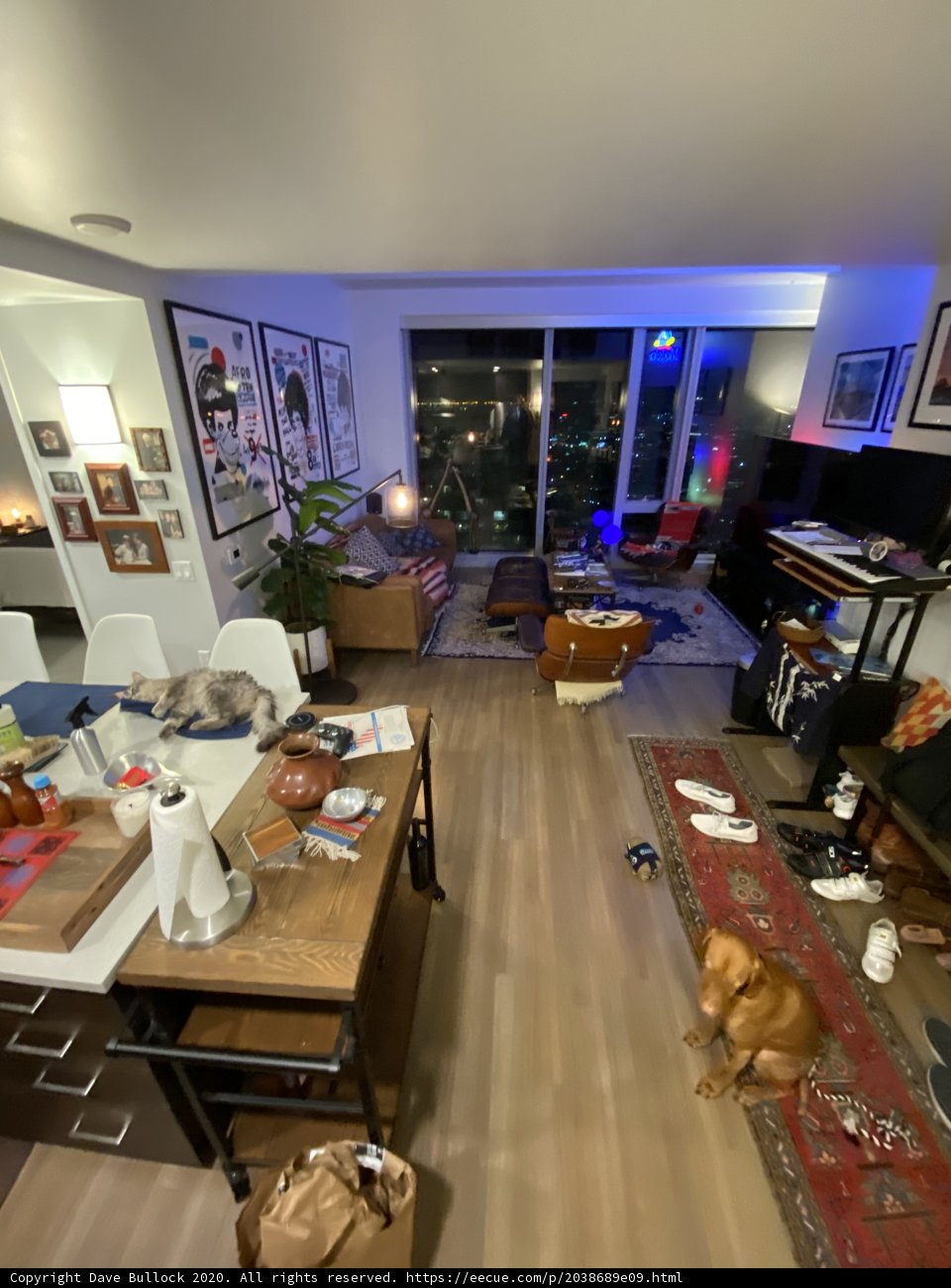 Pooch in the Palatial Living Room