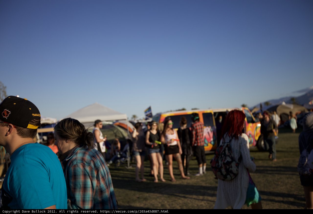 Festival Fun