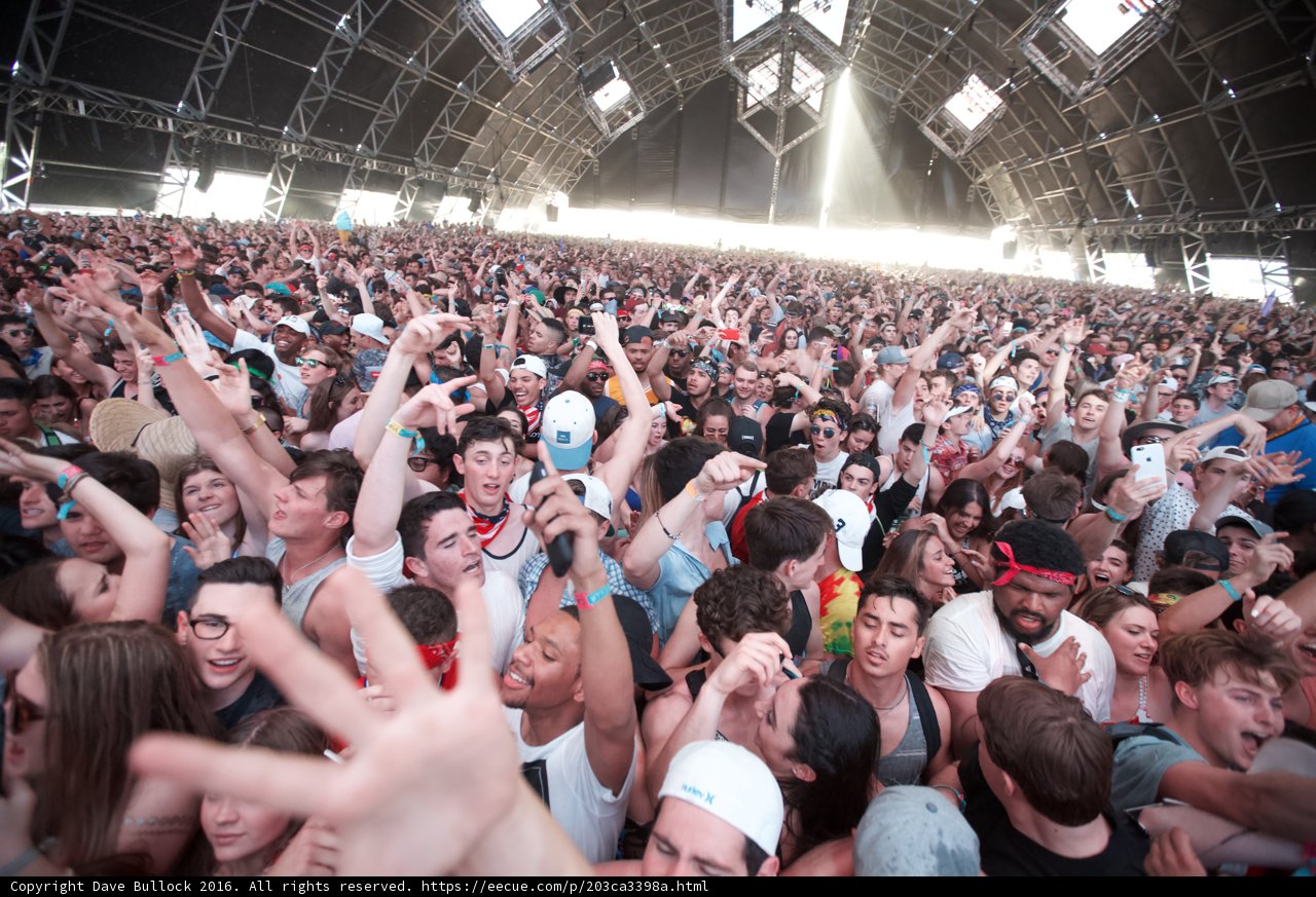 A Sea of Hands