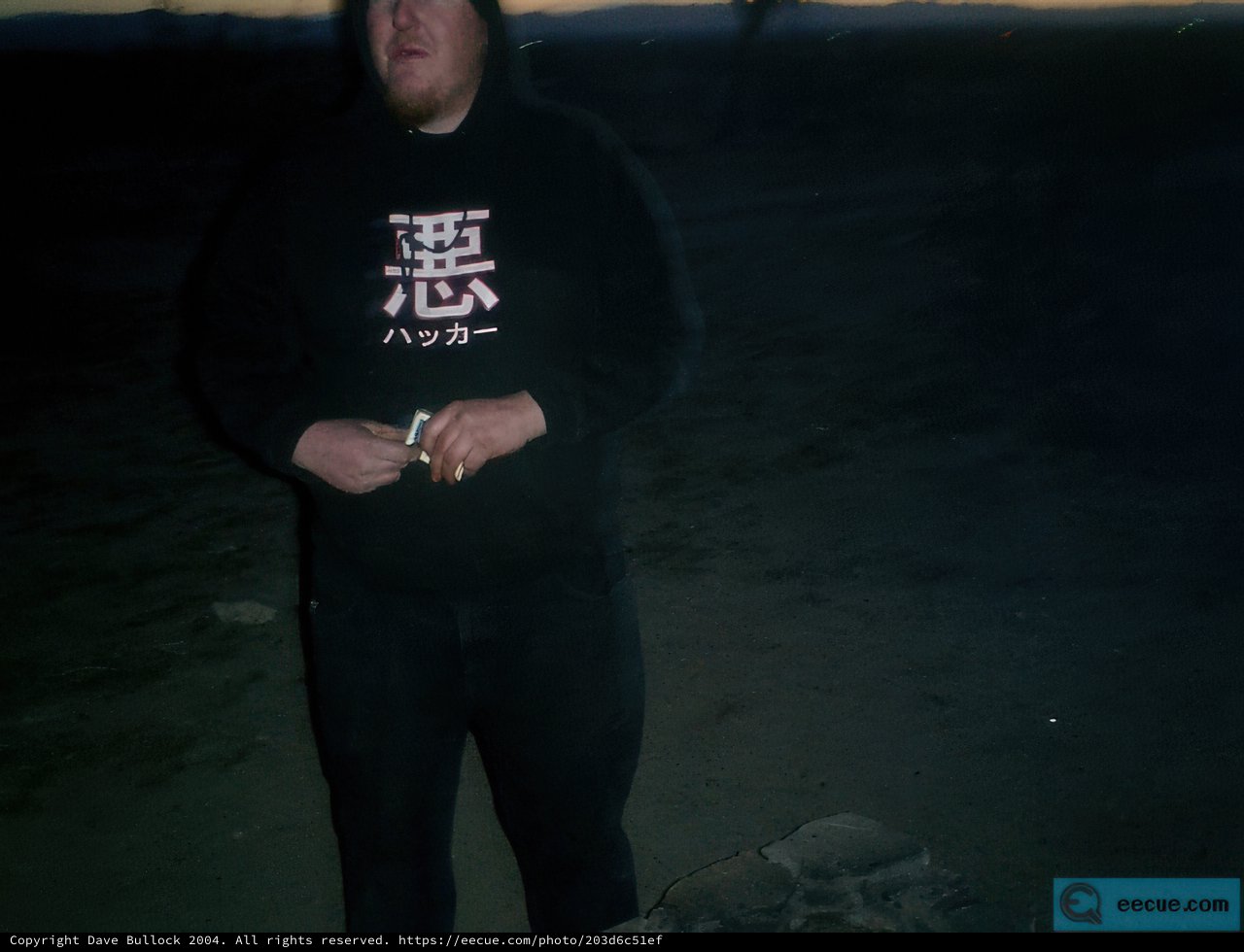 Night Wanderer