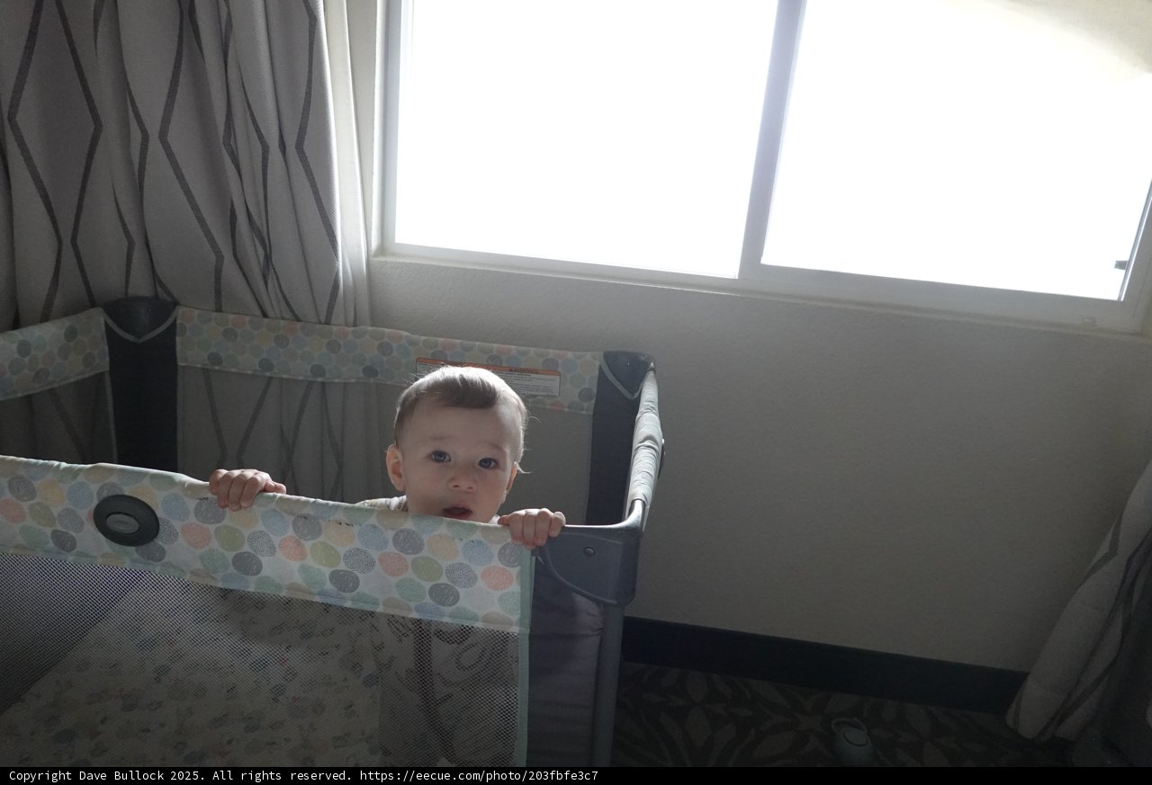 Morning Curiosity