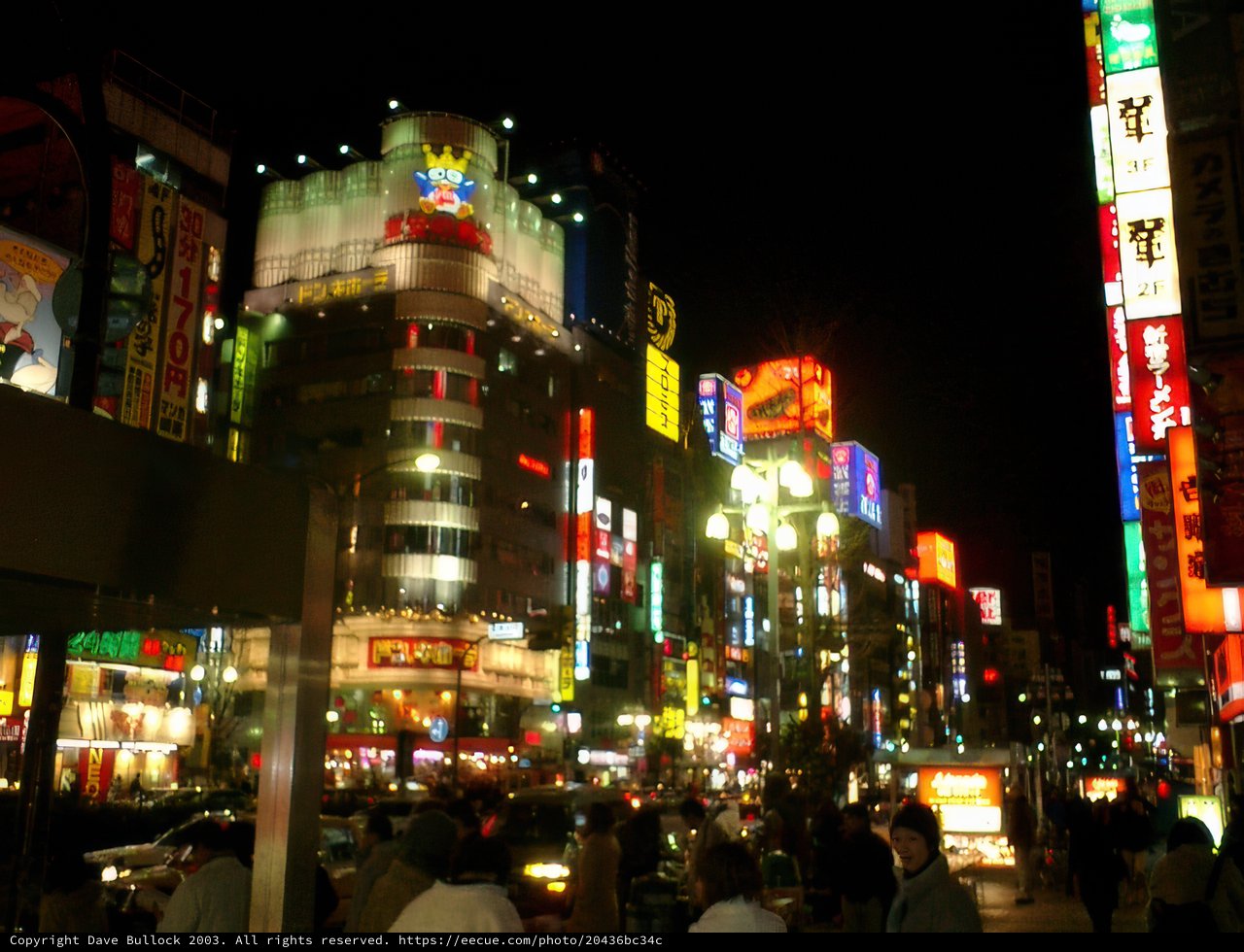Metropolis Lights: A Night Scene in Shinjuku