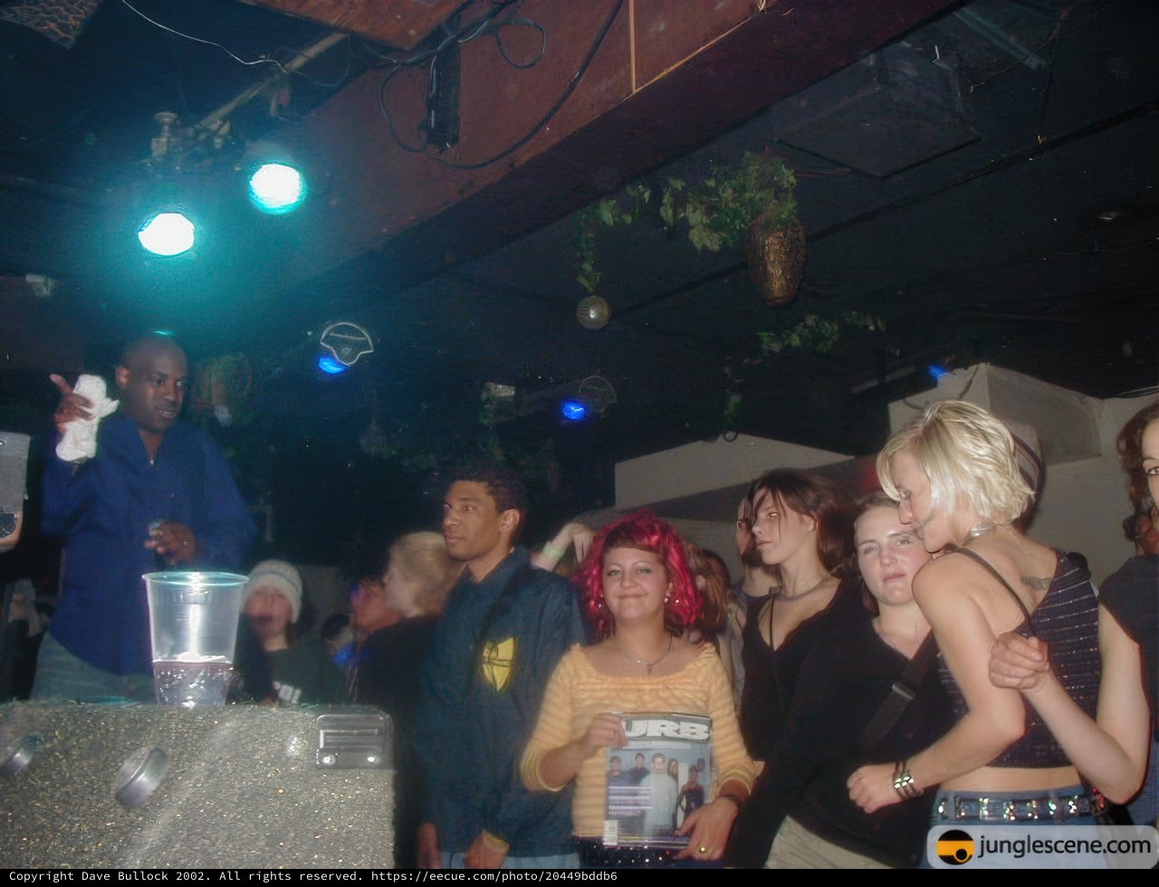 Partygoers Grooving to the DJ's Beats