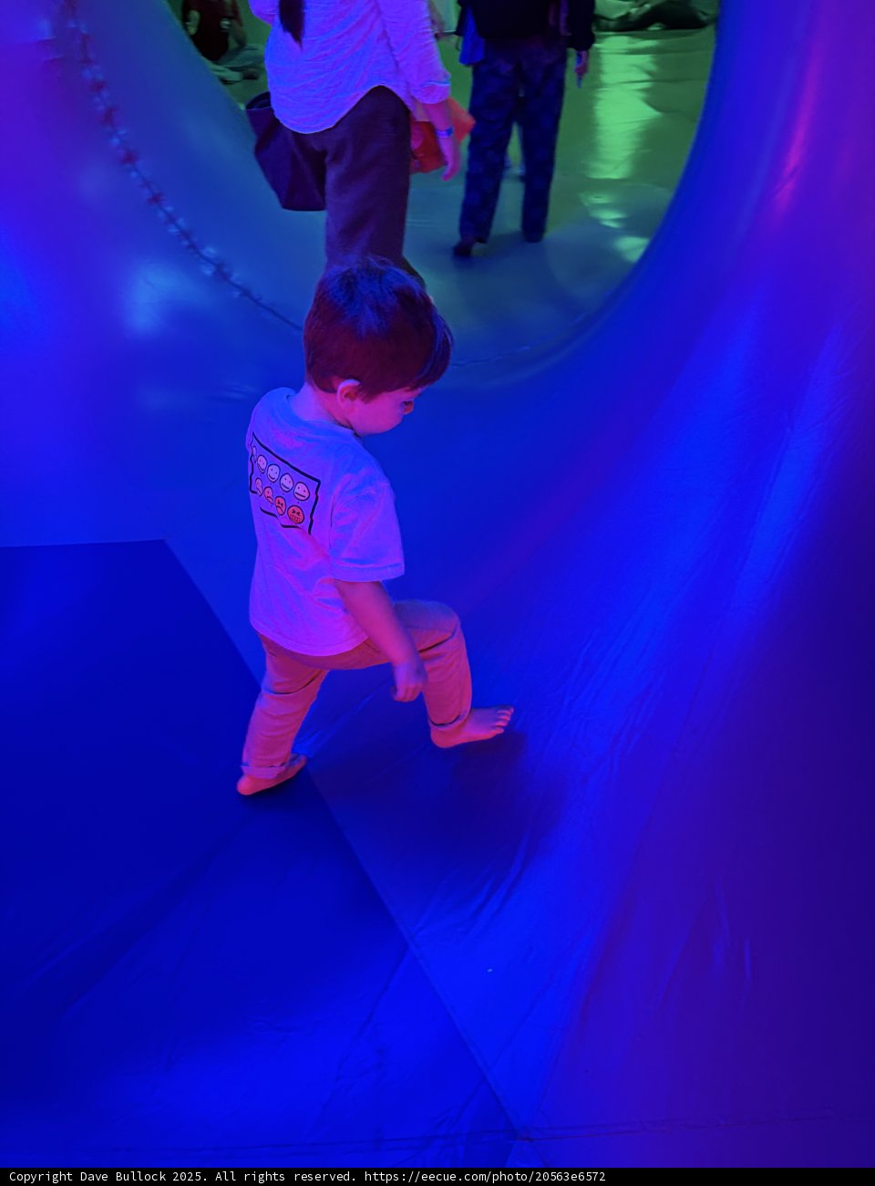 Adventure in Neon