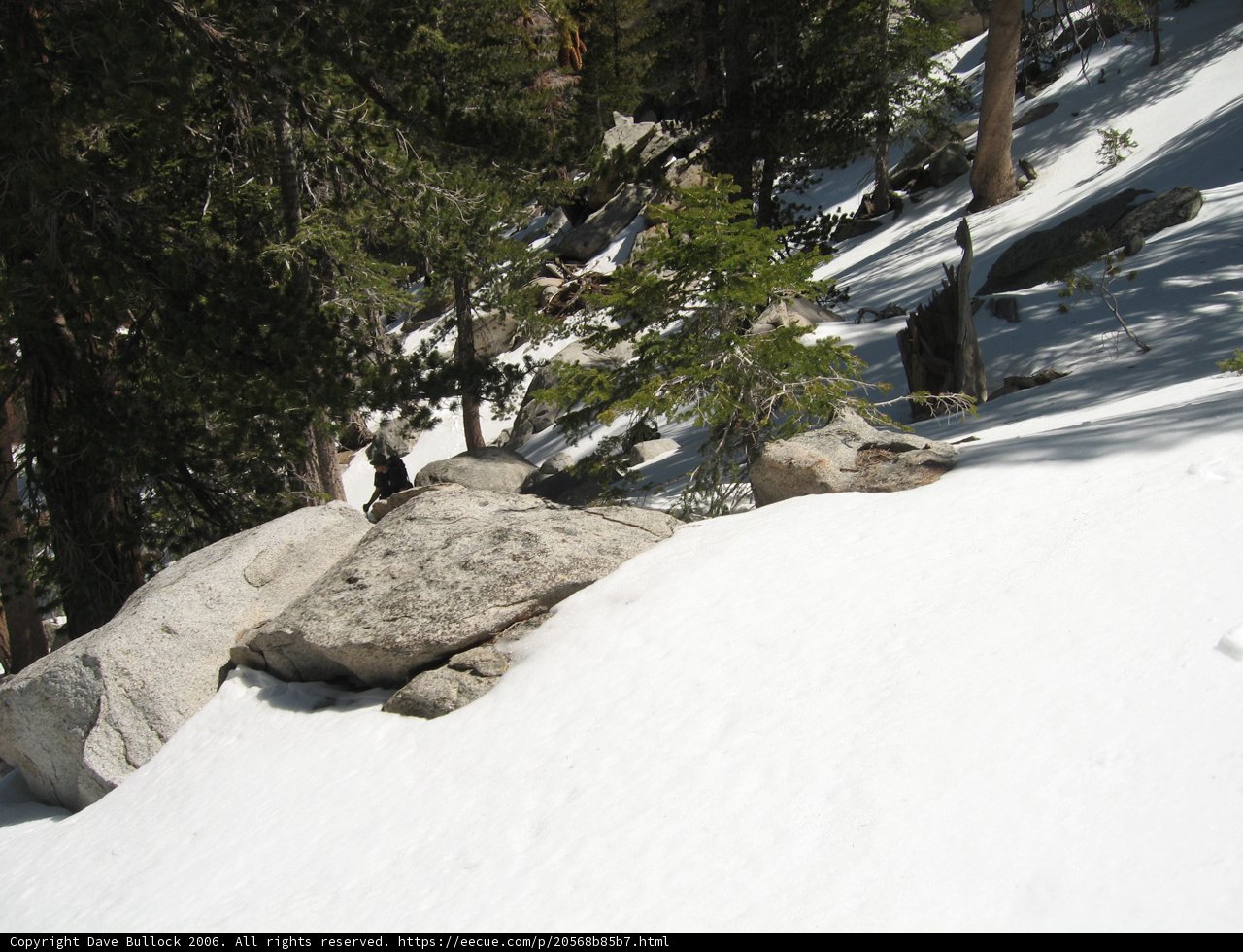 Majestic Slopes