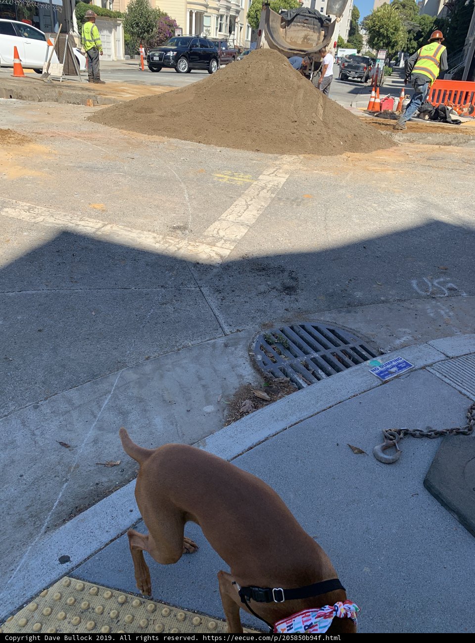 Curbside Companion