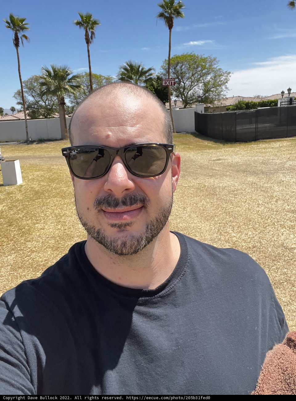 Selfie in the Sun