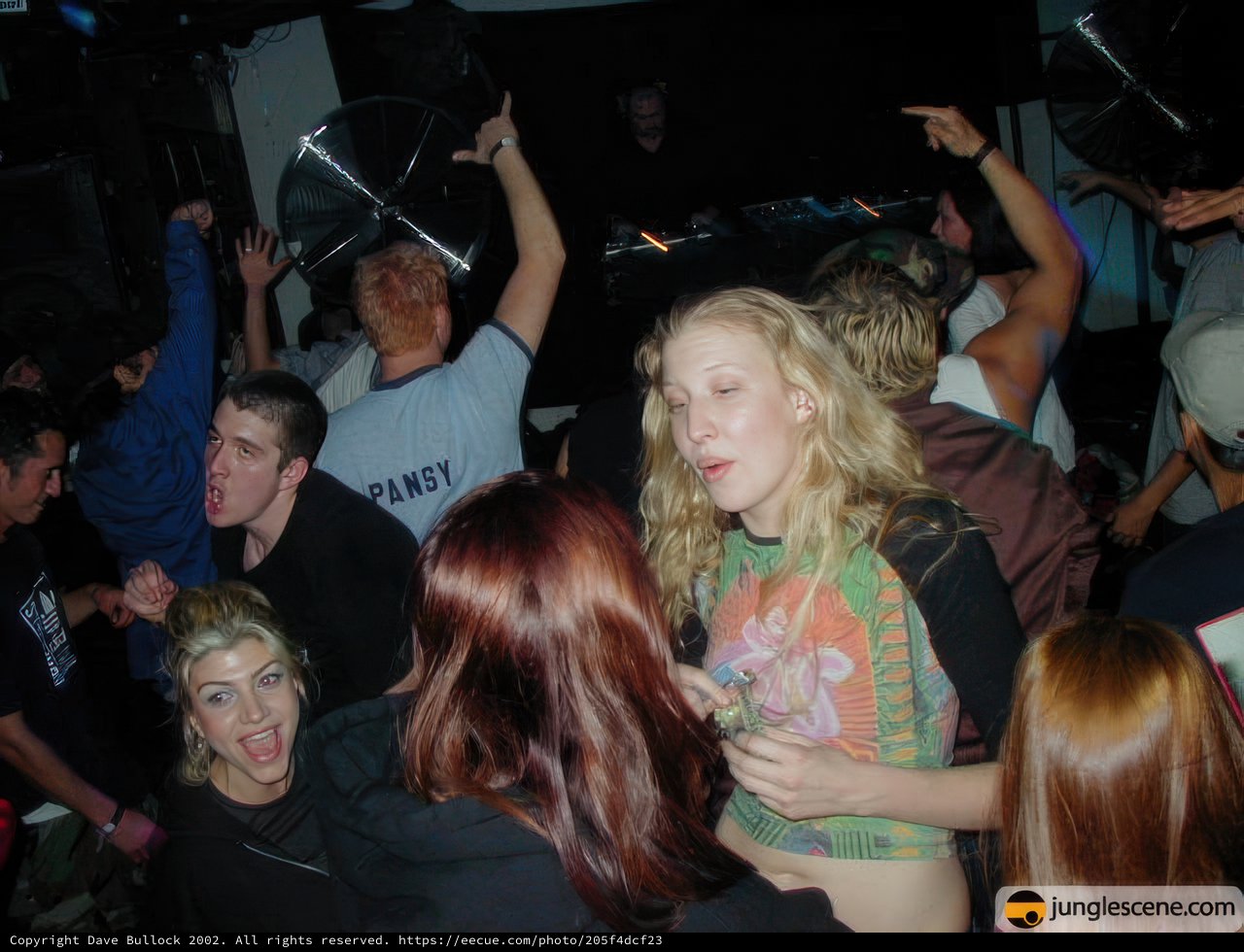 Nightclub Party with a Vibrant Crowd