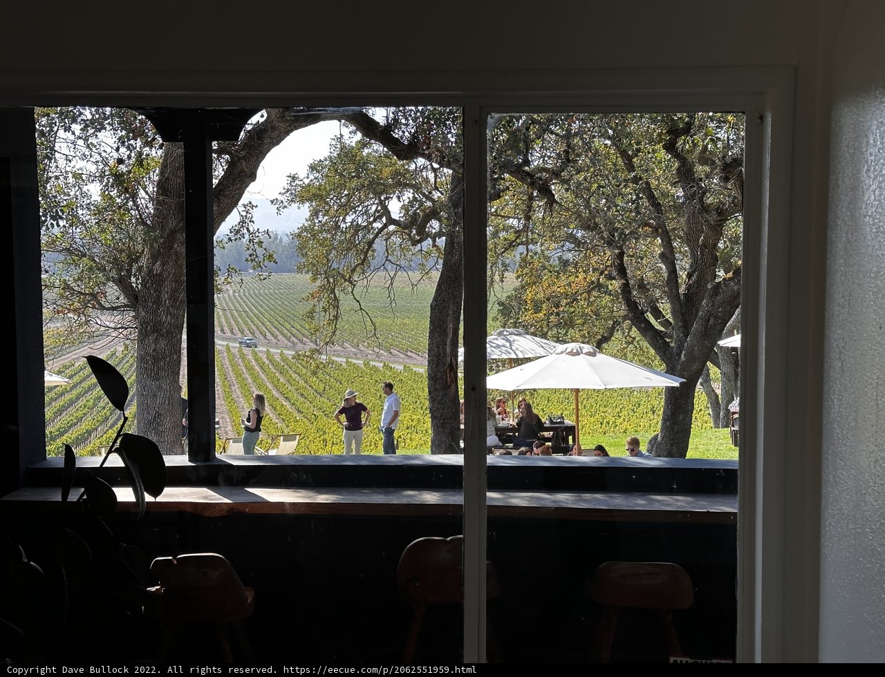 Vineyard View from a Cozy Window