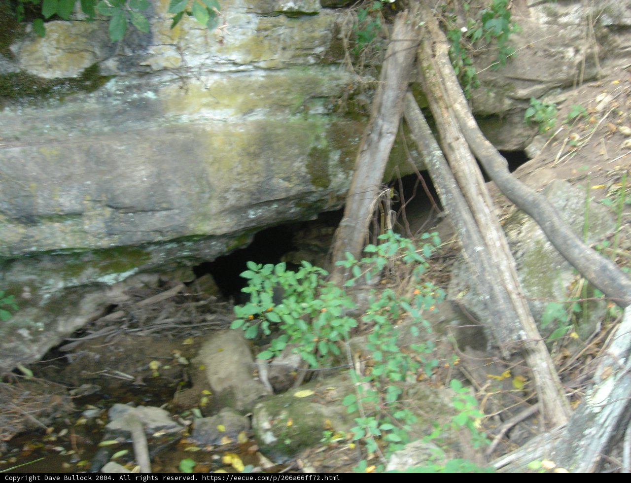 Nature's Leaning Tower