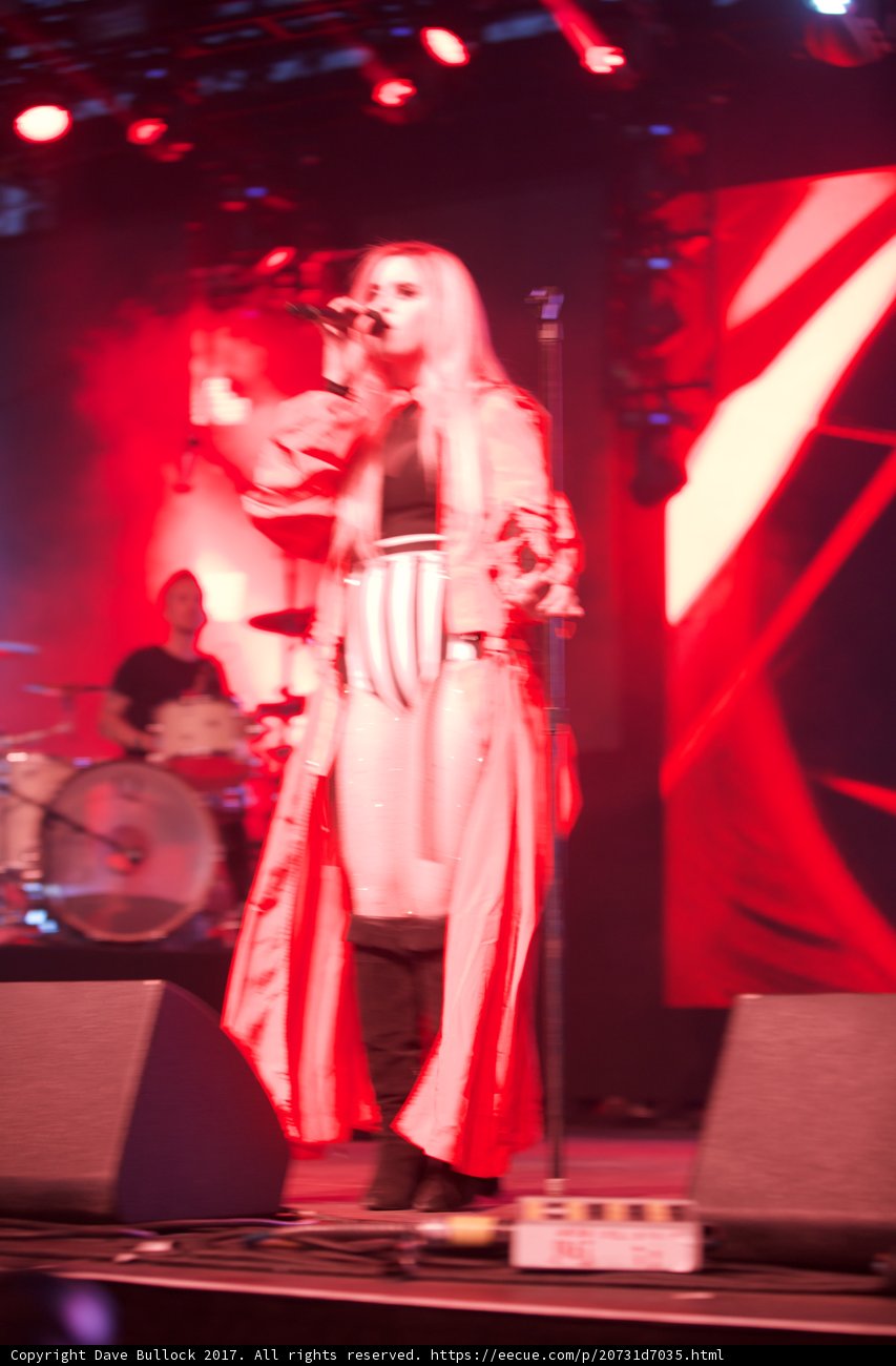 The Red-Dressed Songstress: A Star on the Coachella Stage