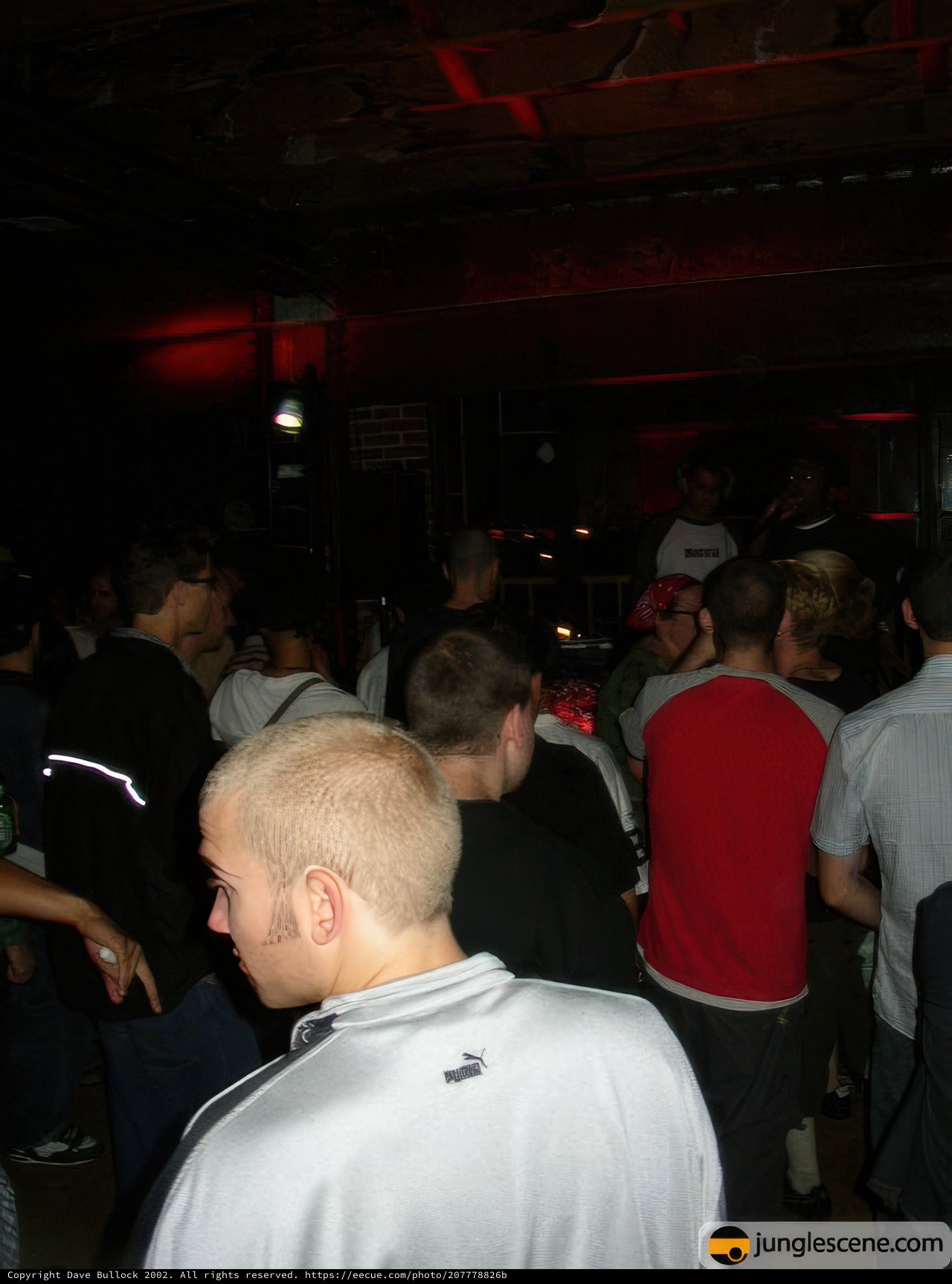 Nightclub Revelry