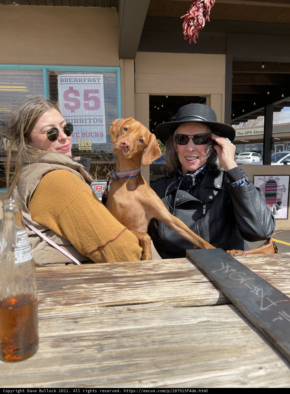 A Relaxing Day with Rhoda, Lori, and their Furry Friend
