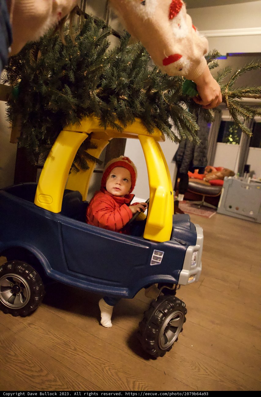 Wesley's Jolly Christmas Drive