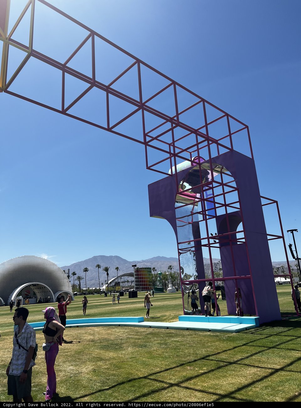The Purple Playground
