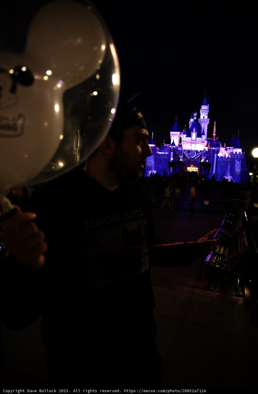 Magical Night at the Castle