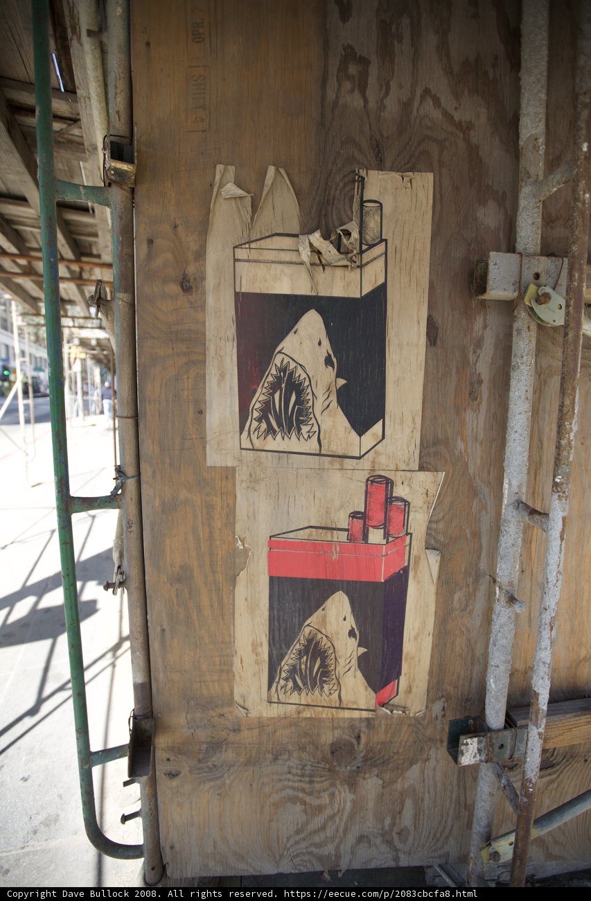 Bear Graffiti on a Plywood Wall