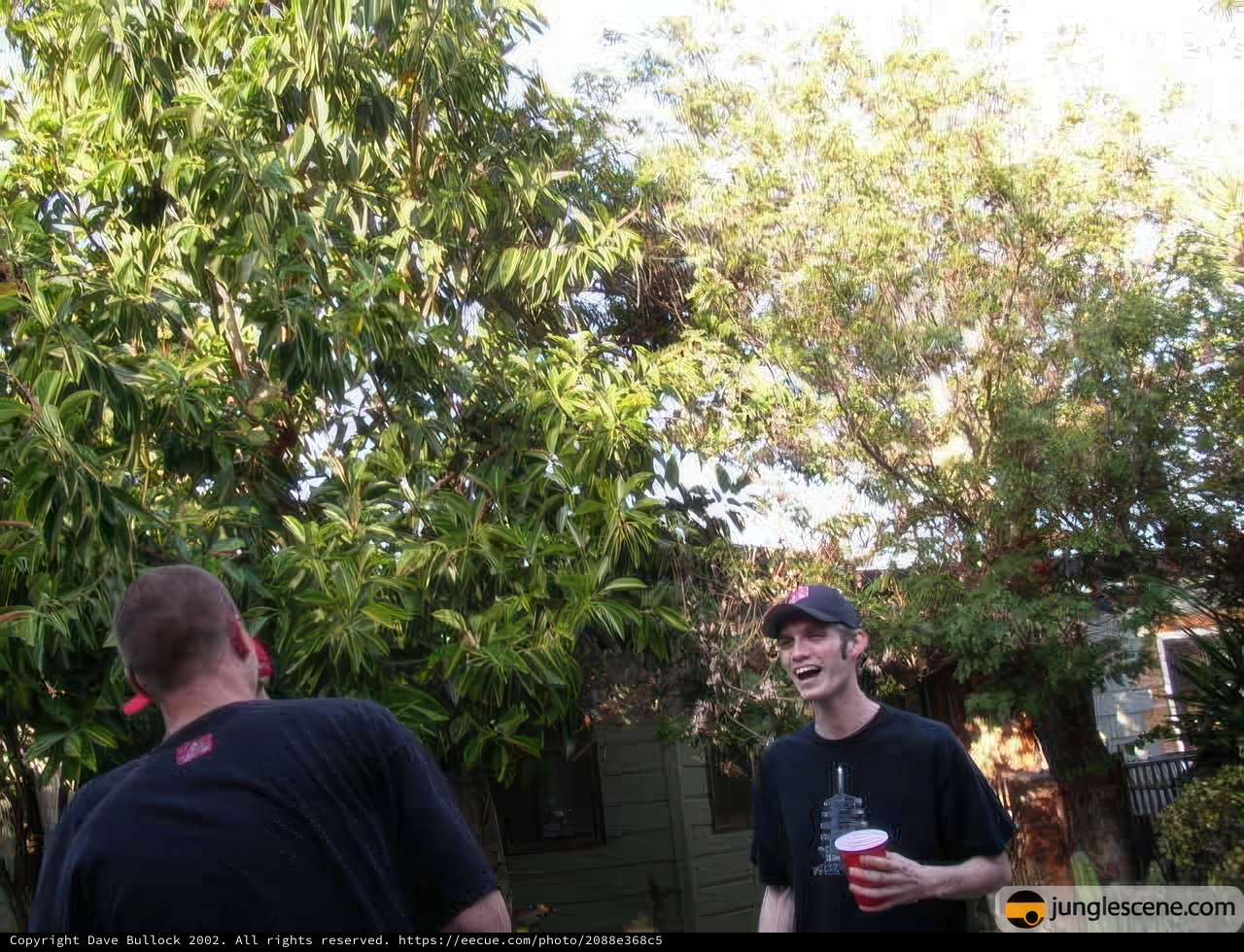 Coffee Break in the Backyard