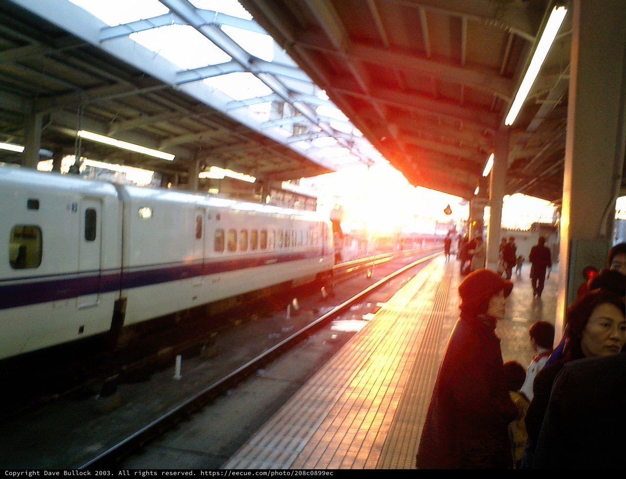 Arrival at Tokyo Terminal