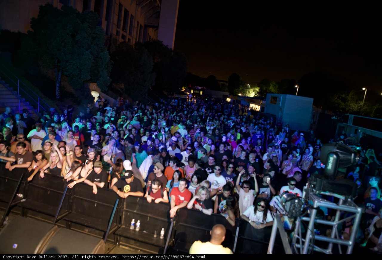 Electric Night: A Concert Crowd