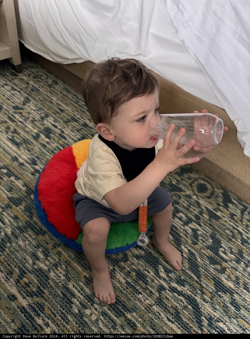Little Moments of Joy
