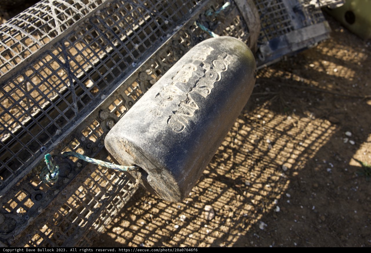 Artistic Touch on the Crab Trap
