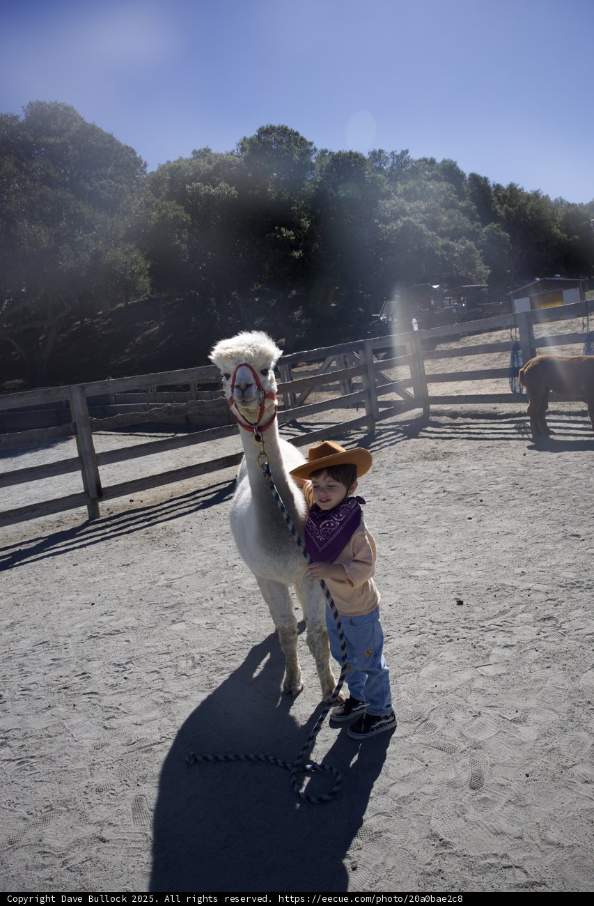 Young Wrangler at Carmel Valley Ranch