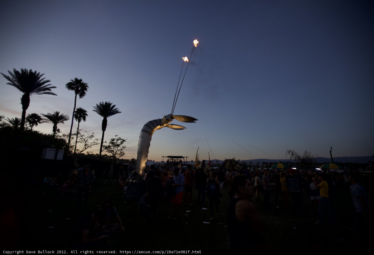 Festival-goers mesmerized by giant bird