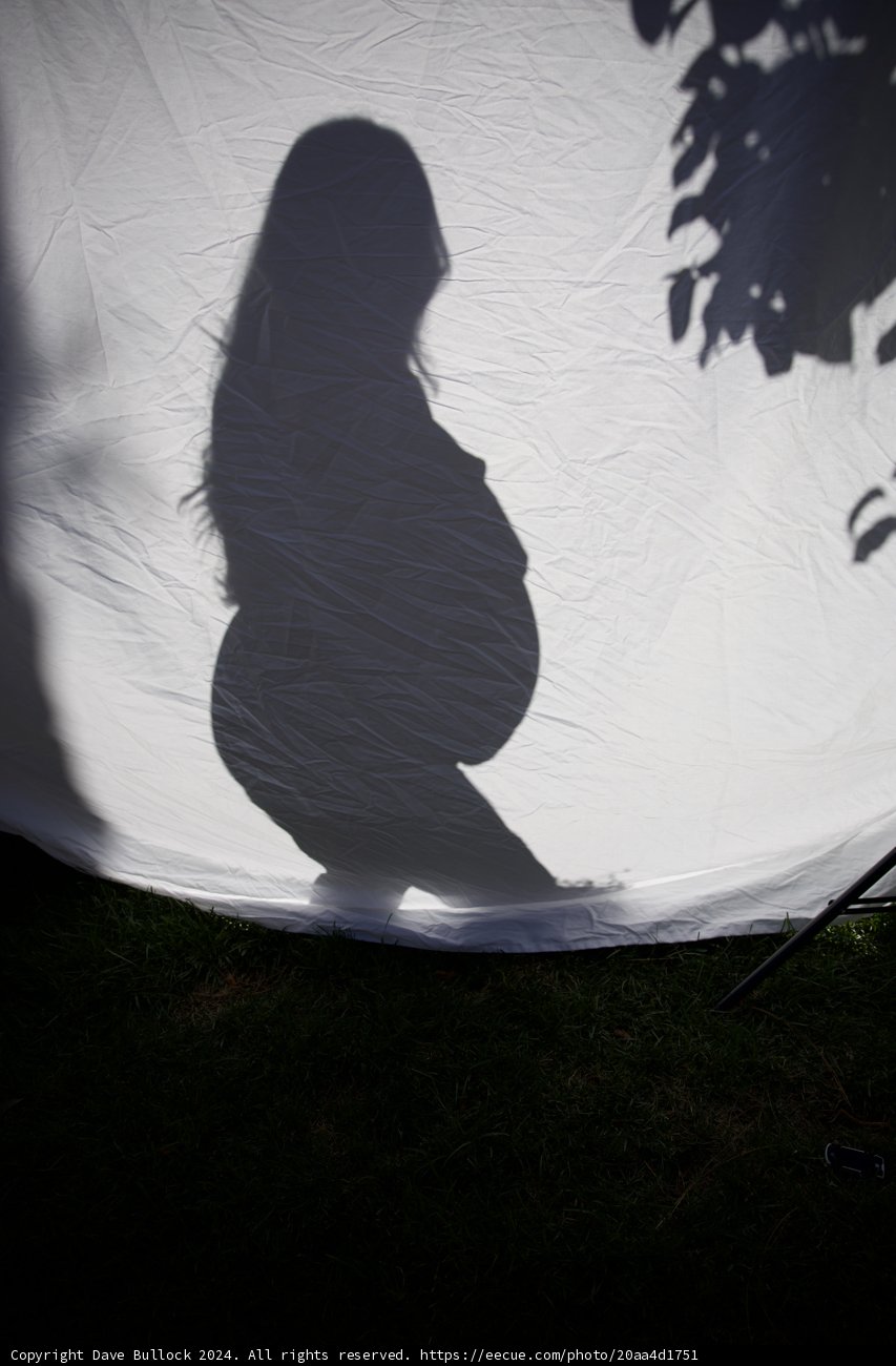 Embracing Shadows