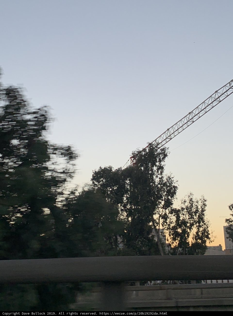 The Crane in the Distance