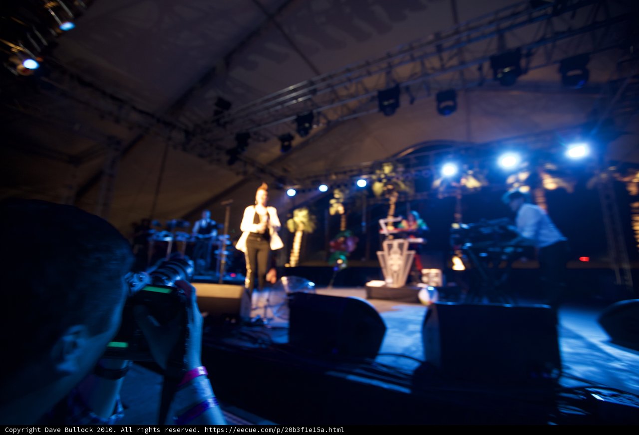 Capturing the Concert